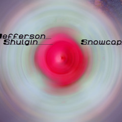 Jefferson Shulgin-"Snowcap"(TrustFundKilla remix)