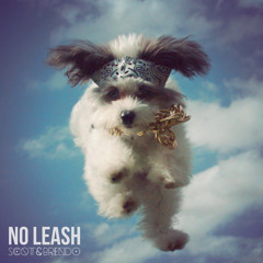 No Leash