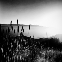 LINEAR BELLS - Tim David Brice