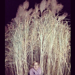 And I Will Love You (Remix)