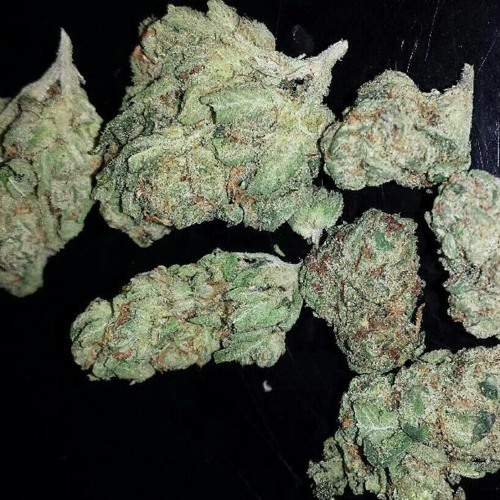 Rollin up weed makk wayne ft Eazy Money