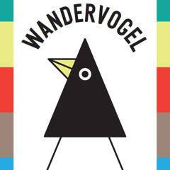 WANDERVOGEL - Looking at you (Hold Tight Rework)