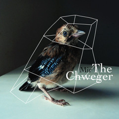 The Chweger - Ona spava