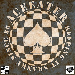 Preview- Rvi Meha Orchestra - New Year (Solo Moderna remix) Aceeater Jungle Mash