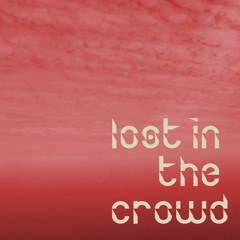 lost in the crowd