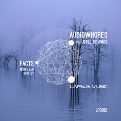 Audiowhores ft. Stee Downes "Facts" Noir's Raw Club Cut