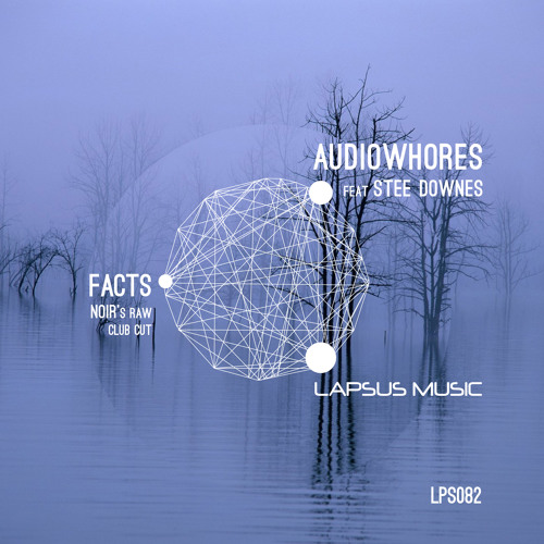 Audiowhores ft. Stee Downes "Facts" Noir's Raw Club Cut