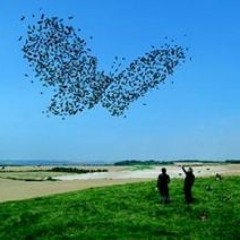 Butterflies - Everything 'n' Nothing E.P (Track #4)
