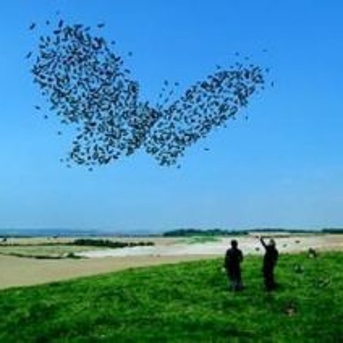 Butterflies - Everything 'n' Nothing E.P (Track #4)