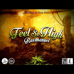 Feel So High - RasManuel ( DonPaco Records )