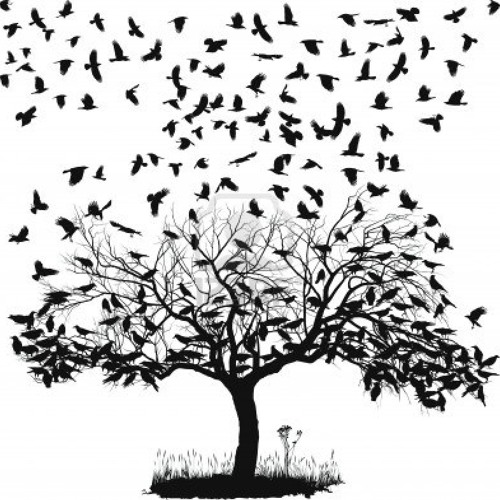 Crowded Branches (Andy Costello, piano)