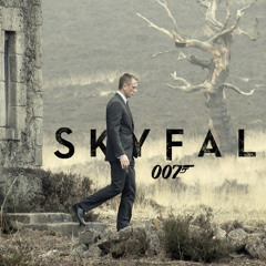 Skyfall Acoustic Instrumental - produced by Nimai Walcott
