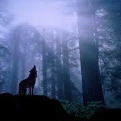 "Cantos Com Lobos"