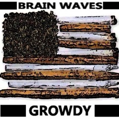 Brain Waves - Growdy (Prod. By Pikers)