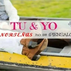 NORTENAS MIX 2014--DJ SHADOW