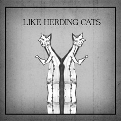 Alternative Pop/ "Rich Girls"  http://www.likeherdingcatsmusic.com