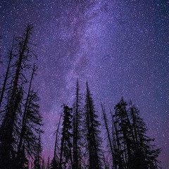 vincent (starry starry night) - Don McLean cover