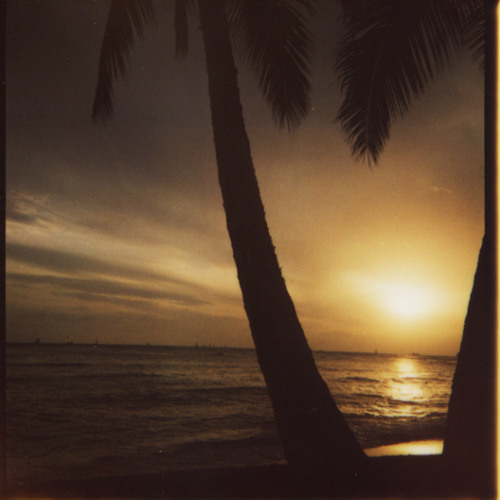 Cineplexx - Isla Tropical