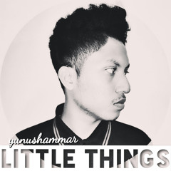 YunusHammar - Little Things (New Acoustic Cover)