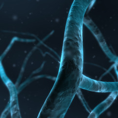 New bass design project! Coming soon on BASS DESIGN!