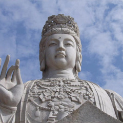 百變觀音Magic Card - mustc