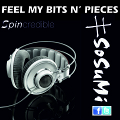 sosumi - feel my bits & pieces