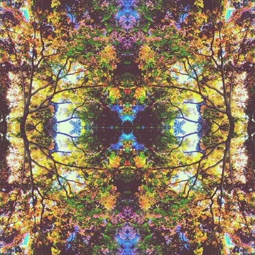 ∑X†∆ç¥