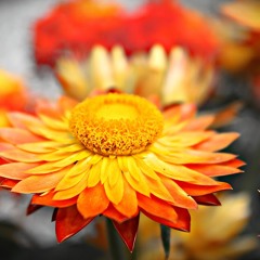 من از پیمانه لبریزم