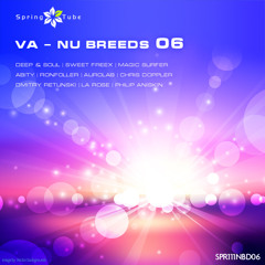 Ronfoller - Confuse (Original Mix) [Spring Tube]