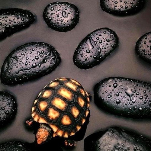 Am i wrong (ft. Keb Mo &Taj Mahal)