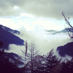 Violin Concerto: 1 Moderato; Tempo rubato