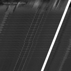 Gabe Wolford - Charcoal