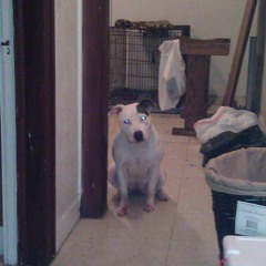 The Most HardHead ft. Big unk