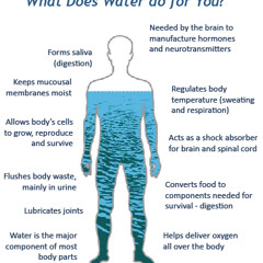 1 20 14 Preview Cleanse