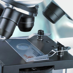 Stink Pickle Project- Hardcore So Small You Need A Microscope To See It