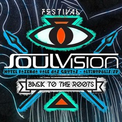 Werneck - Soulvision Festival 2014 (Main floor)