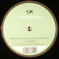 Misleading - Subb-an feat. Anomaly Jones