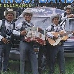 Los hermanos banda