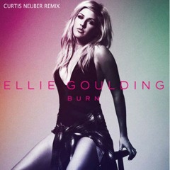 Burn (Curtis Neuber Remix)- Ellie Goulding