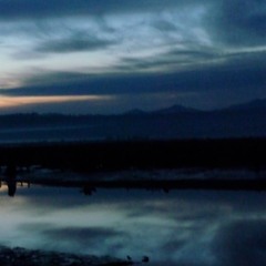 Release love lost with the rolling tides