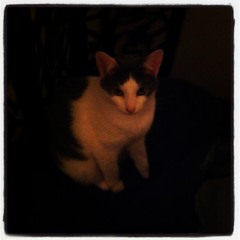 My World Is Empty Without You Babe