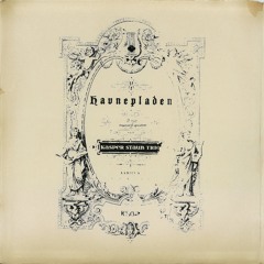 Kasper Staub Trio - Nybegynder