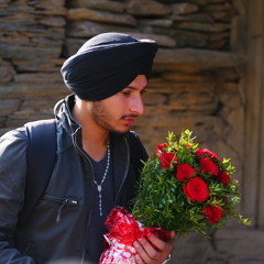 Mud Aja Sohniye - Pavneet Singh Birgi