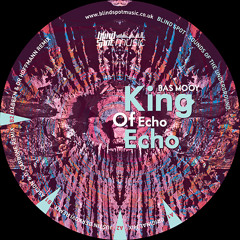 Bas Mooy - King Of Echo Echo EP - Blind Spot Music vinyl Preview