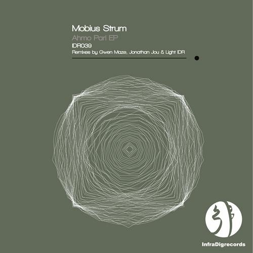 Mobius Strum-What Kind Of Party-Gwen Maze rmx