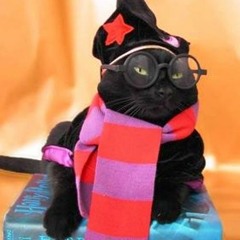 The Sourcefabric Radiophonic Mixtapes Vol:08