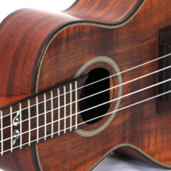 Yesterday (Solo Ukulele)