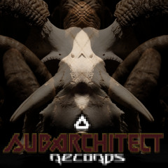 Jetfighta-Turbopotamus Jan 31st