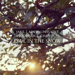 Owl in the Snow (Ft. Arvid Untucht)