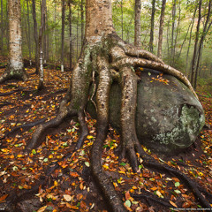 when you hit rock bottom